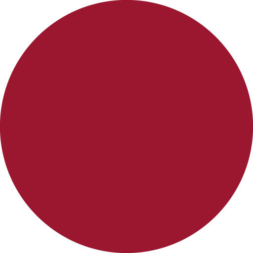 circle-oval-icon