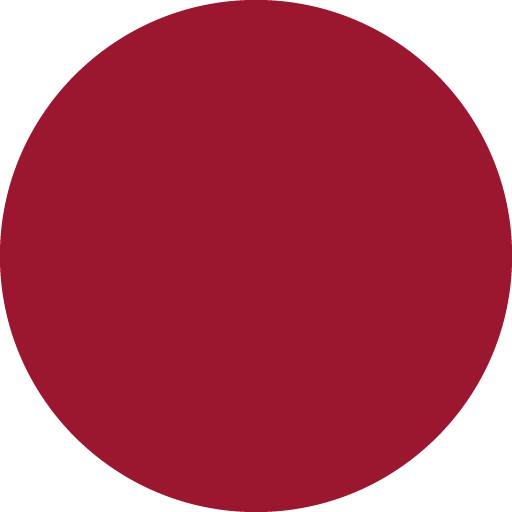 circle-oval-icon